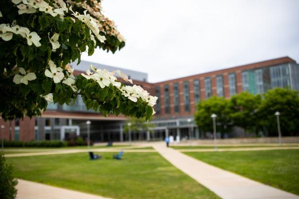Harrington Campus quad with flowers in the foreground